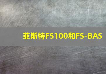 菲斯特FS100和FS-BAS