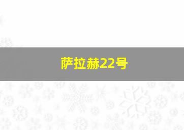 萨拉赫22号