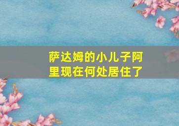 萨达姆的小儿子阿里现在何处居住了