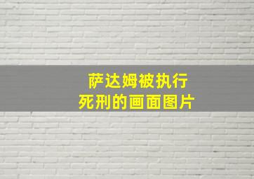 萨达姆被执行死刑的画面图片