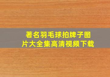 著名羽毛球拍牌子图片大全集高清视频下载