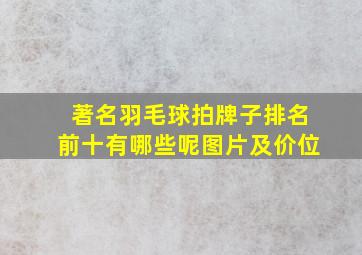 著名羽毛球拍牌子排名前十有哪些呢图片及价位