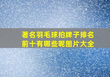 著名羽毛球拍牌子排名前十有哪些呢图片大全