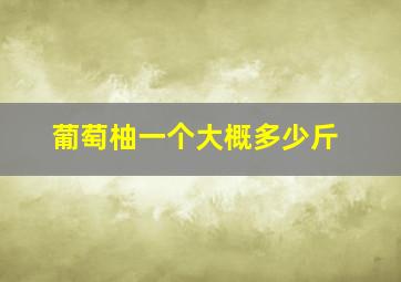 葡萄柚一个大概多少斤