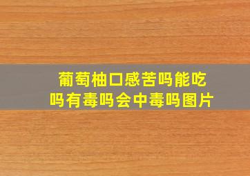 葡萄柚口感苦吗能吃吗有毒吗会中毒吗图片