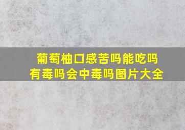 葡萄柚口感苦吗能吃吗有毒吗会中毒吗图片大全