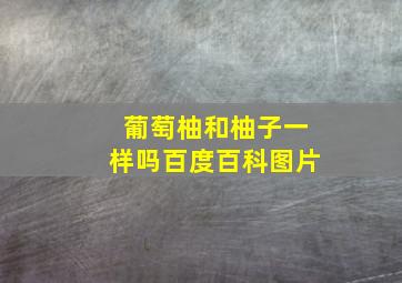 葡萄柚和柚子一样吗百度百科图片