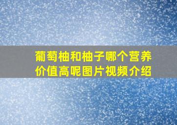 葡萄柚和柚子哪个营养价值高呢图片视频介绍