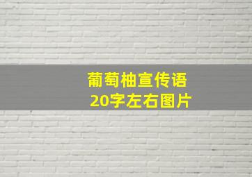 葡萄柚宣传语20字左右图片