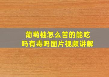 葡萄柚怎么苦的能吃吗有毒吗图片视频讲解