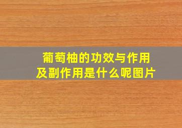 葡萄柚的功效与作用及副作用是什么呢图片