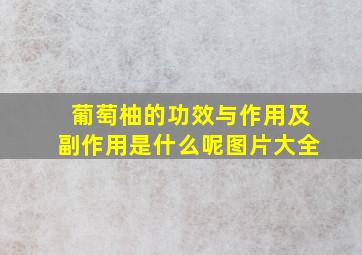 葡萄柚的功效与作用及副作用是什么呢图片大全