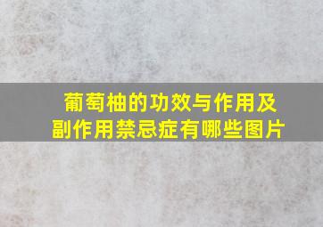 葡萄柚的功效与作用及副作用禁忌症有哪些图片