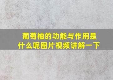 葡萄柚的功能与作用是什么呢图片视频讲解一下