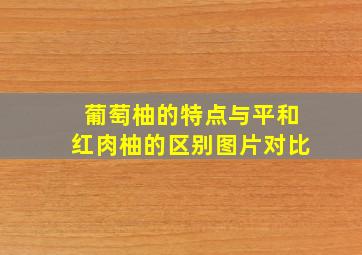 葡萄柚的特点与平和红肉柚的区别图片对比