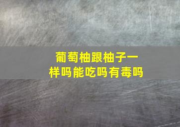 葡萄柚跟柚子一样吗能吃吗有毒吗