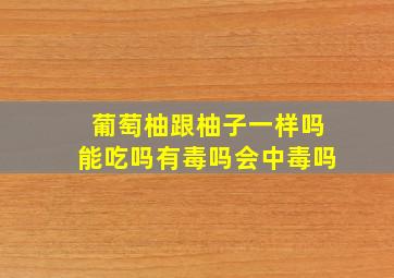 葡萄柚跟柚子一样吗能吃吗有毒吗会中毒吗