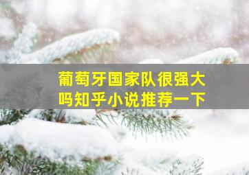 葡萄牙国家队很强大吗知乎小说推荐一下