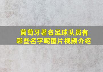 葡萄牙著名足球队员有哪些名字呢图片视频介绍