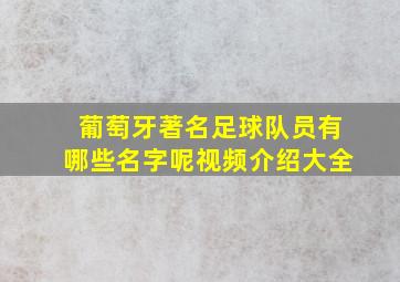 葡萄牙著名足球队员有哪些名字呢视频介绍大全