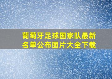 葡萄牙足球国家队最新名单公布图片大全下载