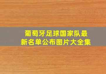 葡萄牙足球国家队最新名单公布图片大全集