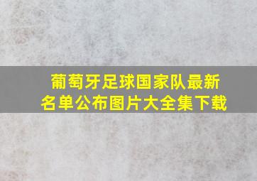 葡萄牙足球国家队最新名单公布图片大全集下载