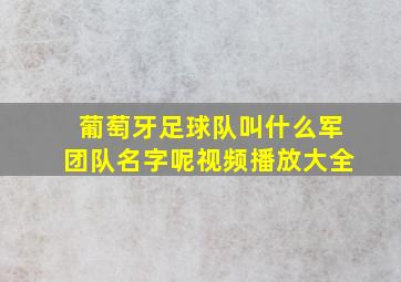 葡萄牙足球队叫什么军团队名字呢视频播放大全