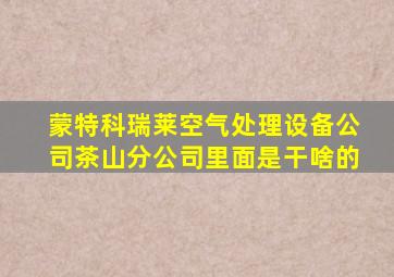 蒙特科瑞莱空气处理设备公司茶山分公司里面是干啥的