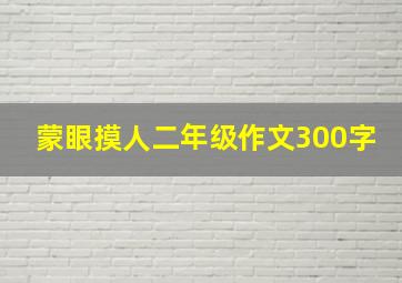 蒙眼摸人二年级作文300字