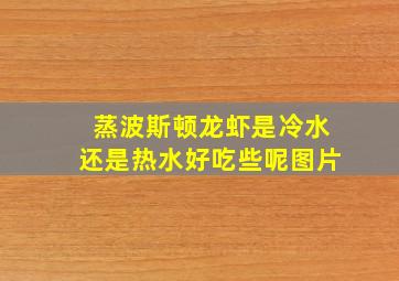 蒸波斯顿龙虾是冷水还是热水好吃些呢图片