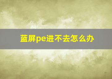 蓝屏pe进不去怎么办