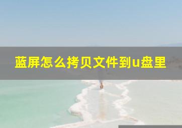 蓝屏怎么拷贝文件到u盘里