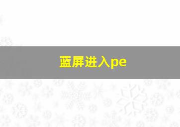 蓝屏进入pe