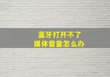 蓝牙打开不了媒体音量怎么办