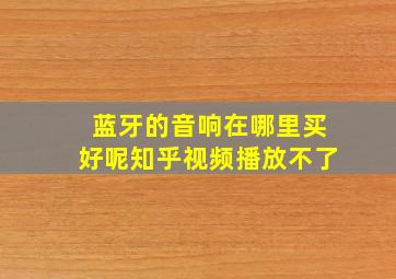 蓝牙的音响在哪里买好呢知乎视频播放不了