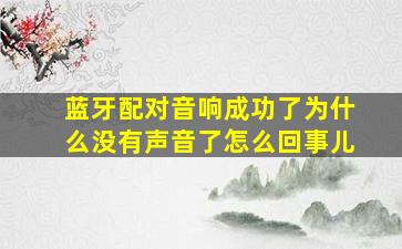 蓝牙配对音响成功了为什么没有声音了怎么回事儿