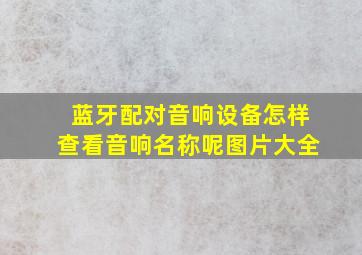 蓝牙配对音响设备怎样查看音响名称呢图片大全