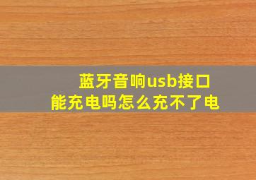 蓝牙音响usb接口能充电吗怎么充不了电