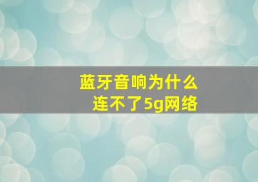 蓝牙音响为什么连不了5g网络