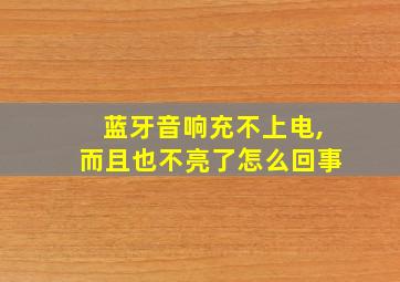 蓝牙音响充不上电,而且也不亮了怎么回事