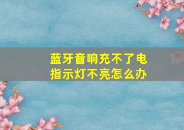 蓝牙音响充不了电指示灯不亮怎么办