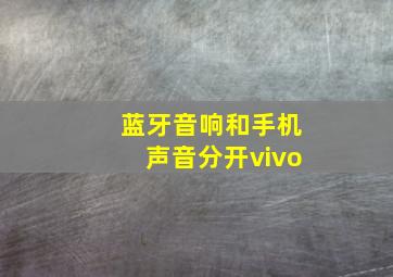 蓝牙音响和手机声音分开vivo