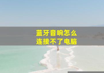 蓝牙音响怎么连接不了电脑