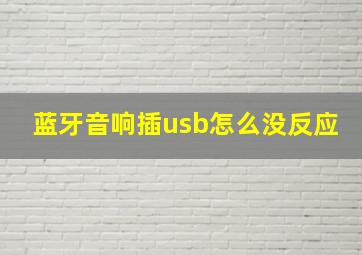 蓝牙音响插usb怎么没反应