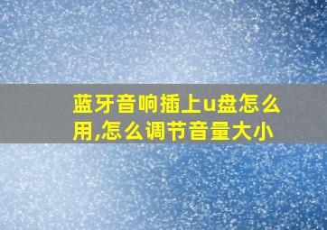 蓝牙音响插上u盘怎么用,怎么调节音量大小