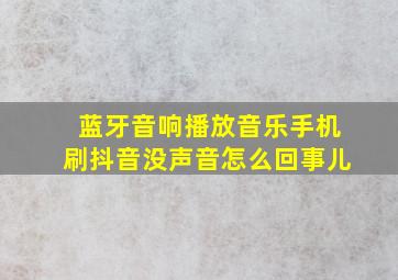 蓝牙音响播放音乐手机刷抖音没声音怎么回事儿