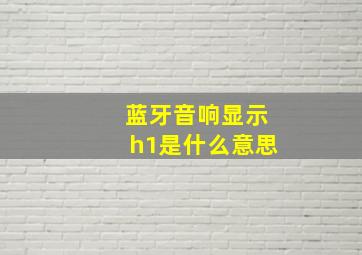 蓝牙音响显示h1是什么意思