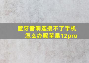 蓝牙音响连接不了手机怎么办呢苹果12pro