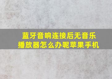 蓝牙音响连接后无音乐播放器怎么办呢苹果手机